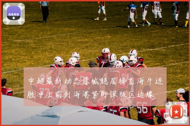 中超最新动态蓉城稳居榜首海牛连胜冲击前列海港紧盯保级区边缘