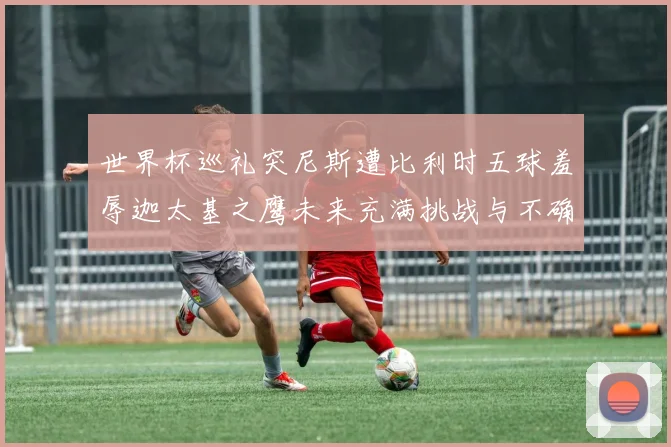 世界杯巡礼突尼斯遭比利时五球羞辱迦太基之鹰未来充满挑战与不确定性